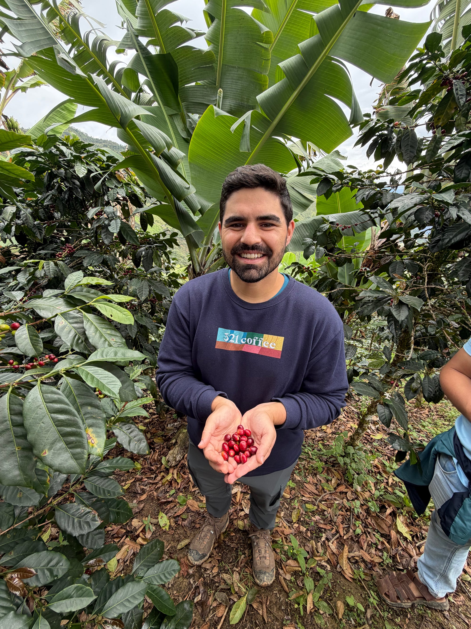 321 Coffee co-founder Michael holds out his hands full of coffee cherries while visiting a coffee farm in Peru.